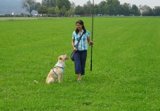 Hund wartet geduldig ab und sitzt neben dem Hundetrainer mit der Hetzangel